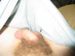 Penis in grey sweat shorts