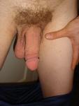 semi-erect penis with veins, hanging scrotum