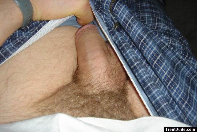 Semi erect penis