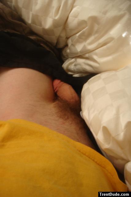 penis in bed under a comforter