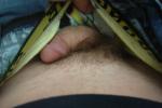 Penis in Spongebob boxers