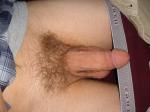 semi-erect penis and pubic hair