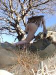 Rock climbing in the nude