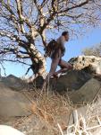 Nude rock climber