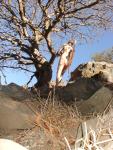 Nude rock climber