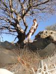 Nude rock climber