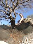 Nude rock climber