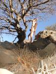 Nude rock climber