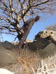 Rock climbing in the nude