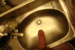 Would you use this wash basin after seeing this snake loose on board?
