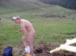 Oh no, here comes one last cow!