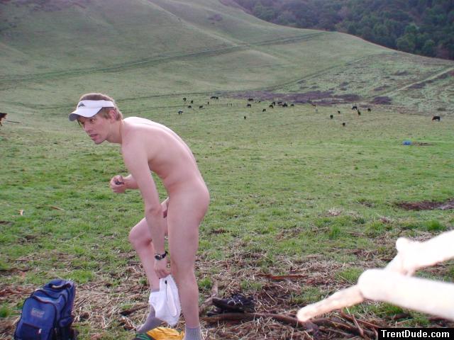 Oh no, here comes one last cow!