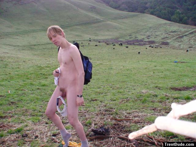 Wondering if the cows are impressed