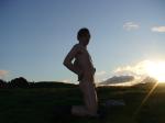 Bush silhoutette