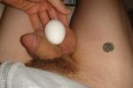 Size comparison, egg and U.S. nickle