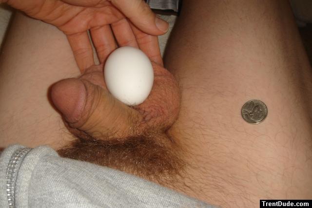 Size comparison, egg and U.S. nickle