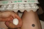 Male reproductive organ, compared to an egg and U.S. nickle