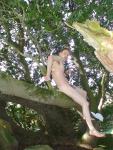 scratching on the branch