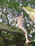Tree nudity