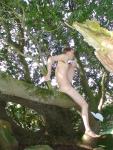 Hanging out in a manzanita tree nude