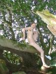 Pubic hair and penis in a tree
