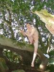 Leg dangling nude