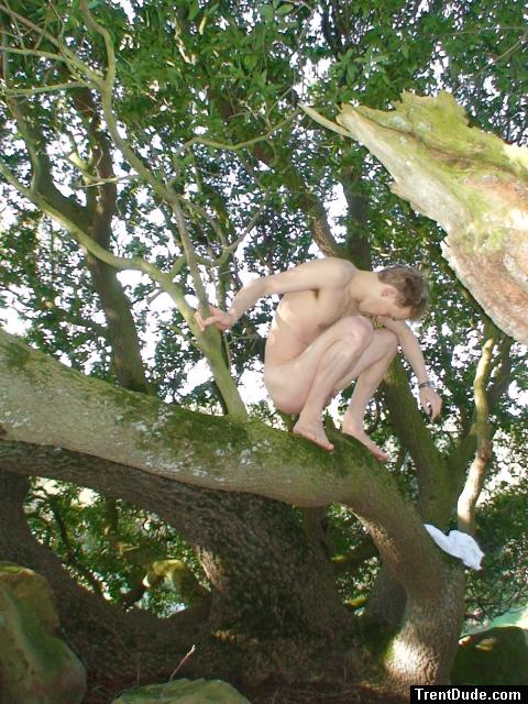 Trying to avoid the moss