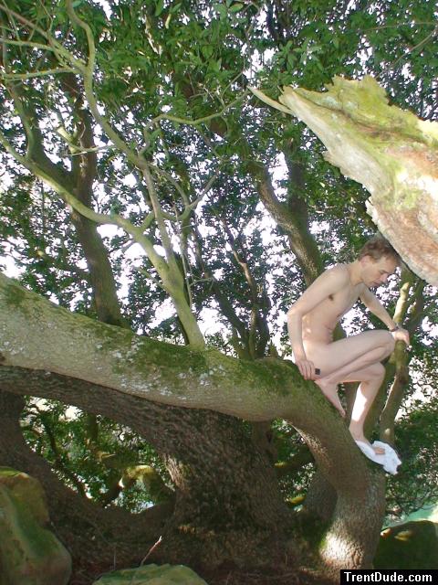 Climbing down from the tree
