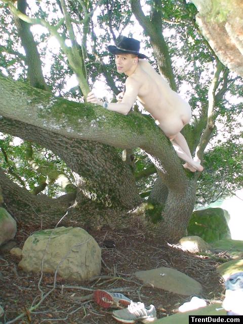 Finding a comfy place to sleep while herding the cows