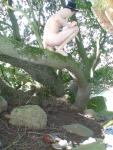 Taking a dump in a tree?