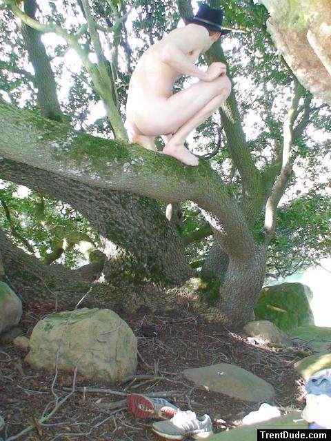 Taking a dump in a tree?