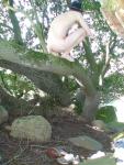 No trees were harmed during the filiming of this production.