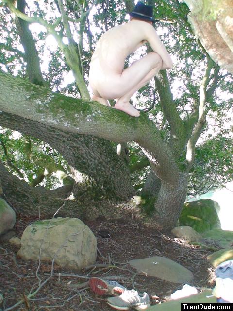 No trees were harmed during the filiming of this production.