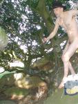 small tree branch