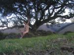 Nude by a tree, chest hair