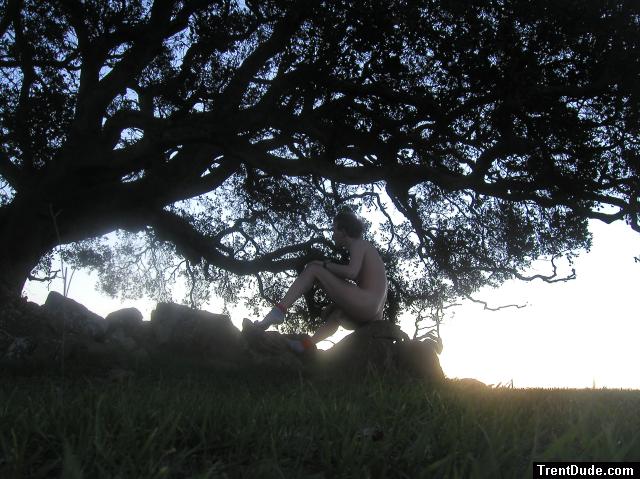 Near a tree at sunrise