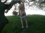 His rear is as big as a cow!