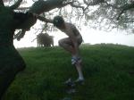 No modesty in front of cows?