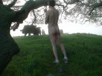 One of the cows seems interested!  OR maybe she just thinks your'e stupid.