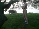Indecent exposure in front of a cow