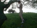 Cow tipping anyone?