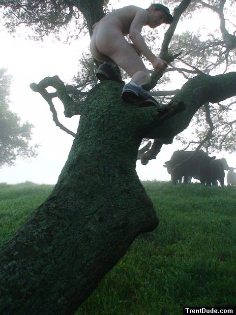 Is he going to jump on the cow like a rodeo man?