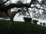 Somethine smells like cow manure