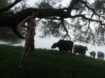 Smiling at the cows