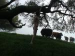 Climbing the tree in case the bulls arrives