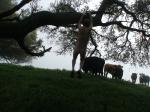 The cattle think you have a few screws loose