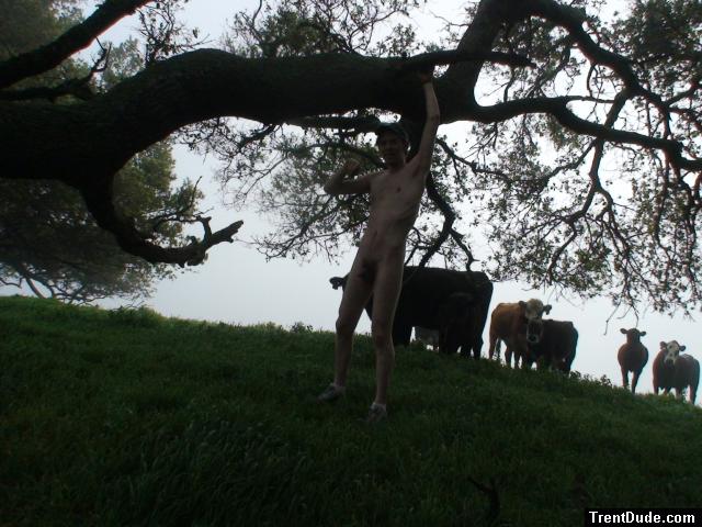 Nude cowboy?