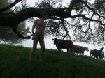 Nude sheepherd