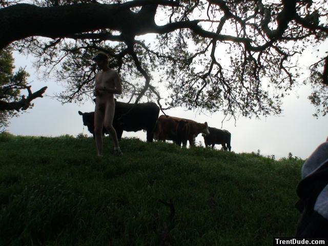 Don't step in the cow manure