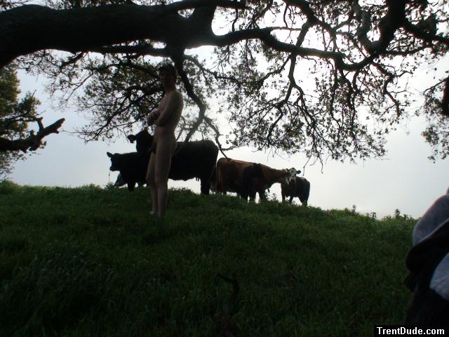 They like you better clothed